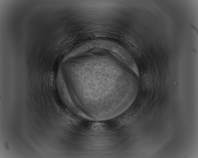 X0000096940222200802291041