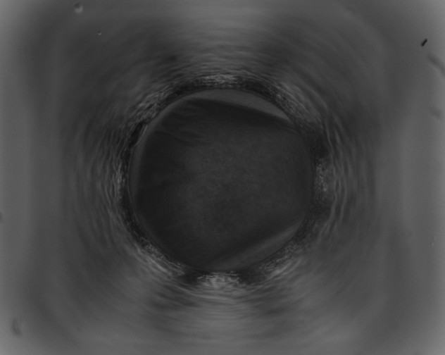 X0000096940223200802291041