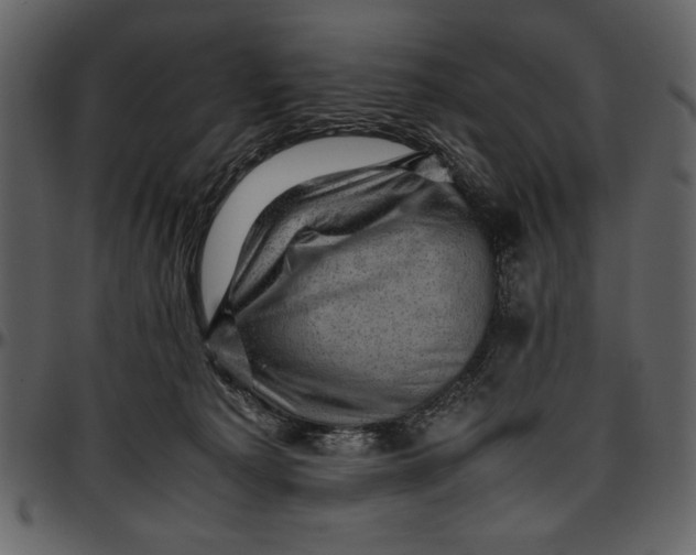 X0000096940225200802291040