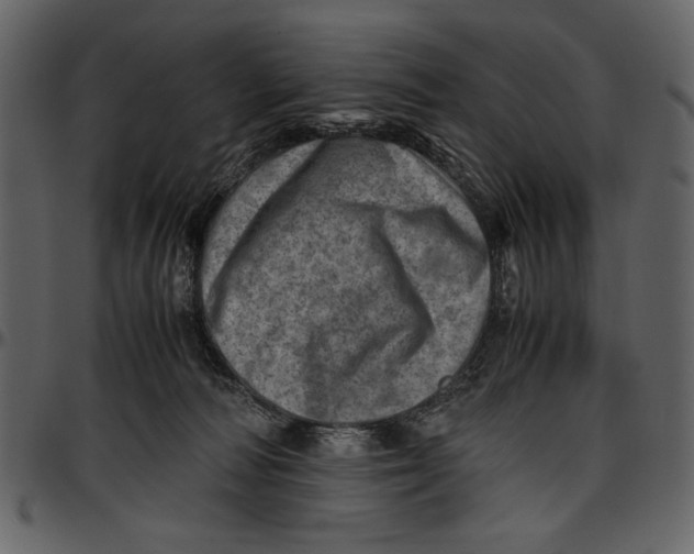 X0000096940226200802291040