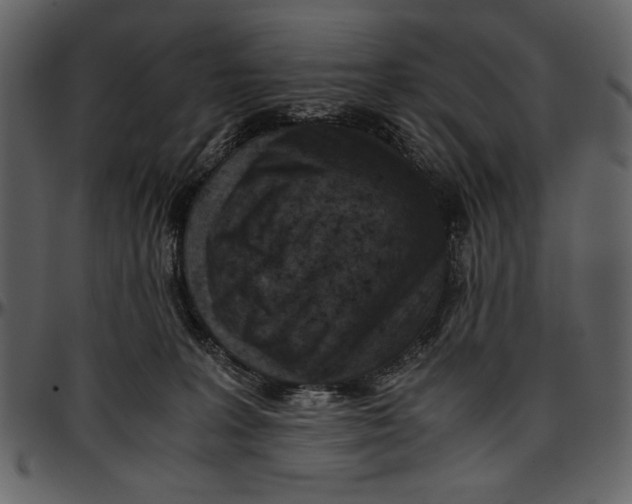 X0000096940227200802291040