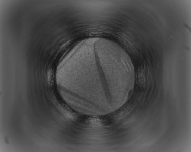 X0000096940228200802291040