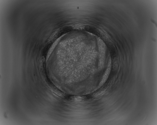 X0000096940229200802291040