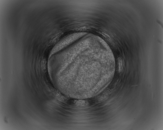 X0000096940230200802291040