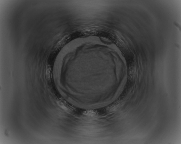 X0000096940231200802291040