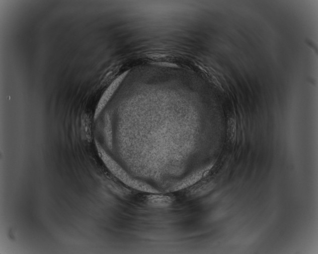 X0000096940234200802291040