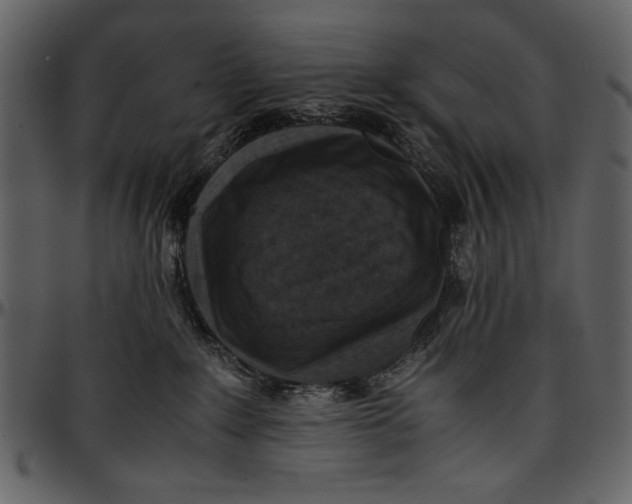 X0000096940235200802291040