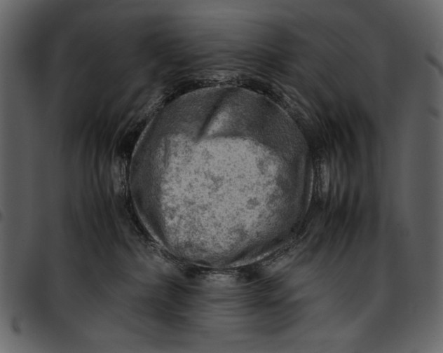 X0000096940236200802291040