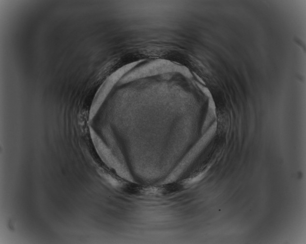 X0000096940237200802291040