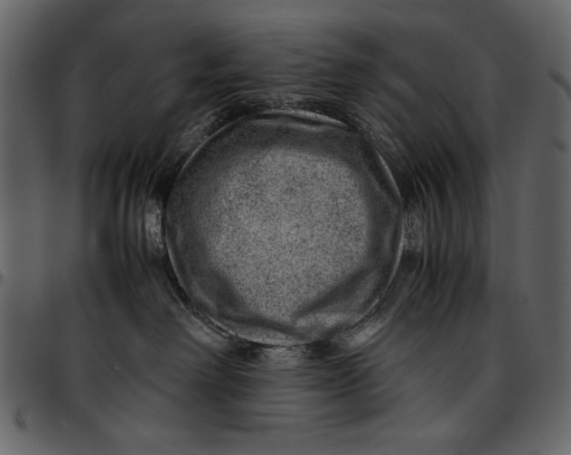 X0000096940238200802291040