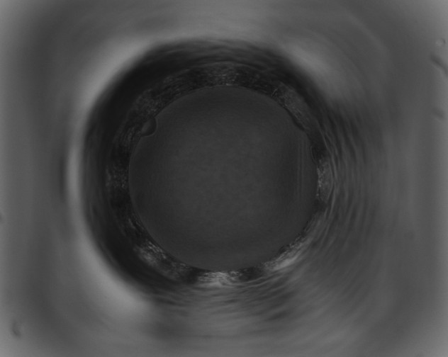 X0000096940239200802291040