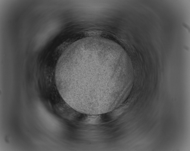 X0000096940240200802291040