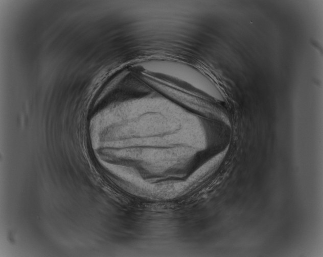 X0000096940241200802291040