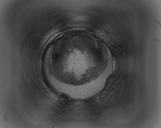 X0000096940243200802291040