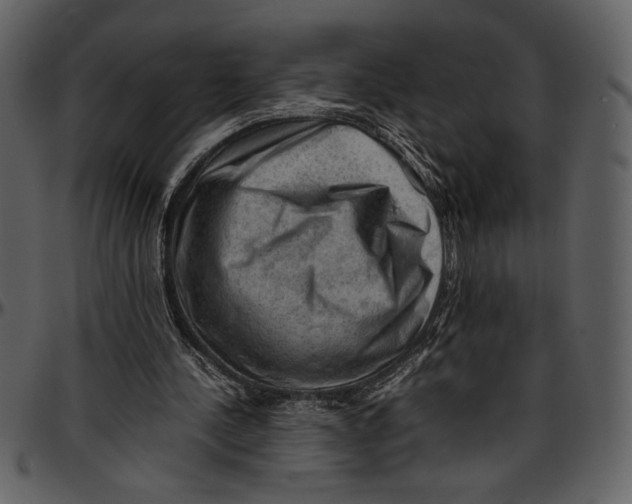 X0000096940244200802291040