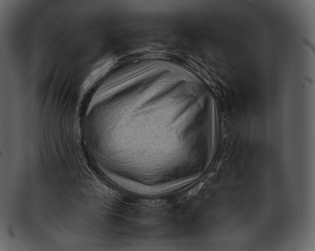 X0000096940245200802291040