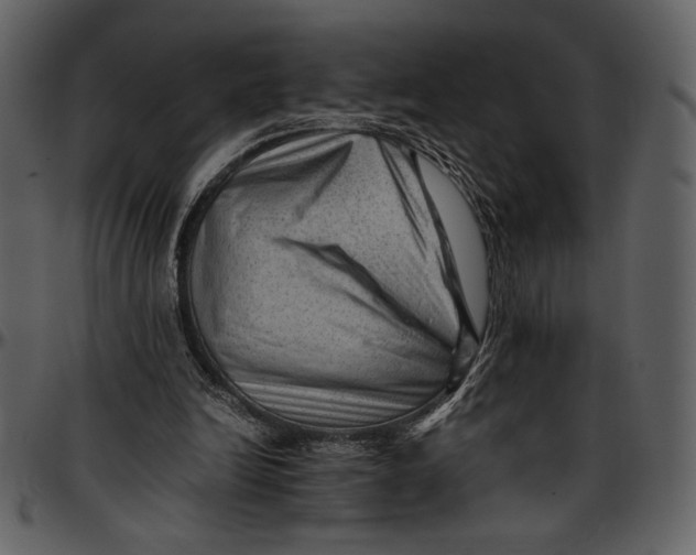 X0000096940246200802291040