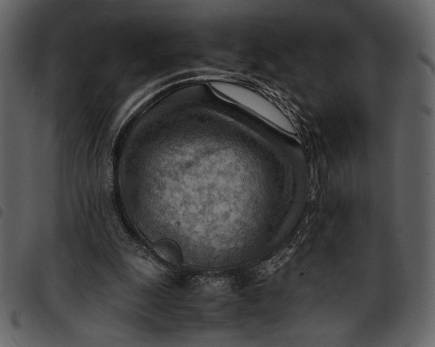 X0000096940247200802291040