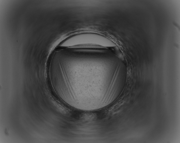 X0000096940248200802291040