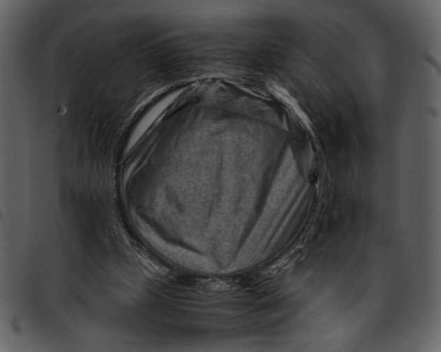 X0000096940249200802291040