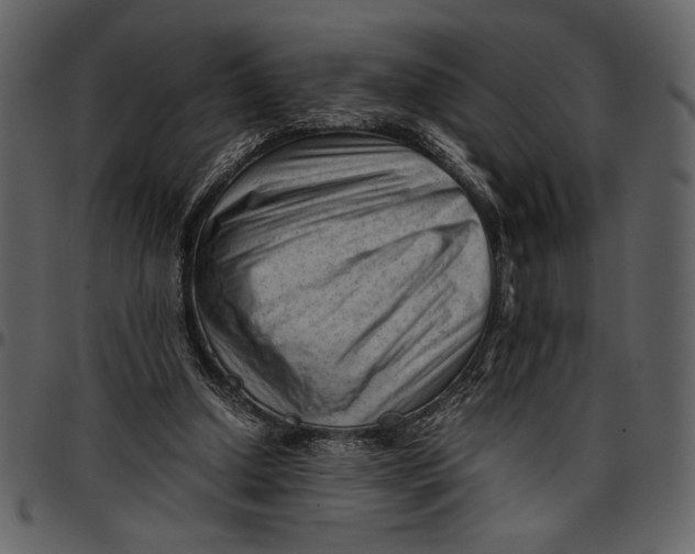 X0000096940250200802291040