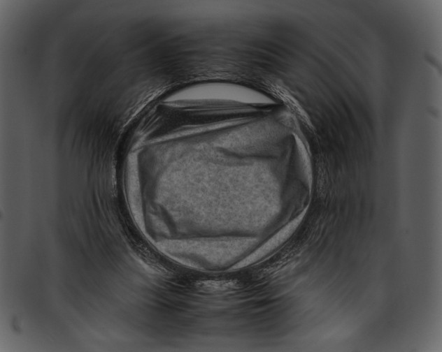 X0000096940251200802291040