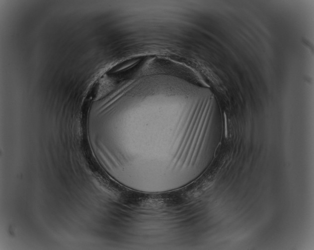 X0000096940252200802291040