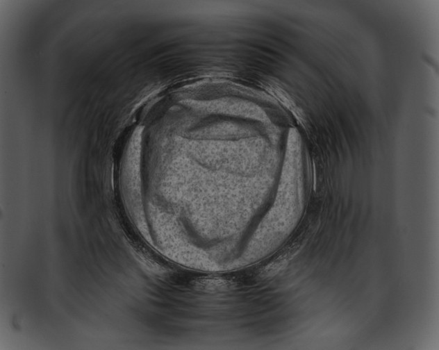 X0000096940253200802291040