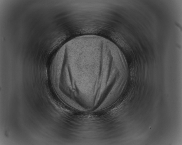 X0000096940254200802291040