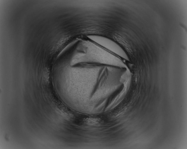 X0000096940255200802291040