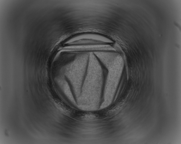 X0000096940256200802291040