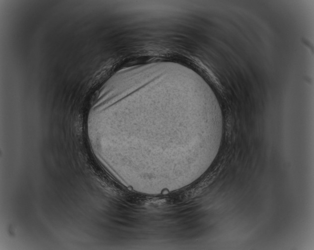 X0000096940257200802291040