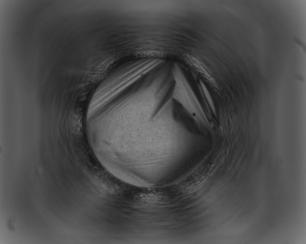 X0000096940259200802291040