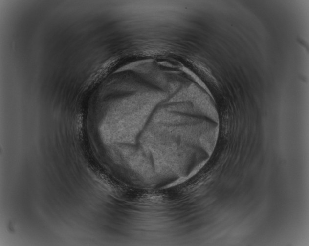 X0000096940260200802291040