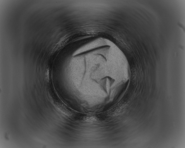 X0000096940262200802291040