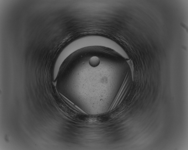 X0000096940264200802291040