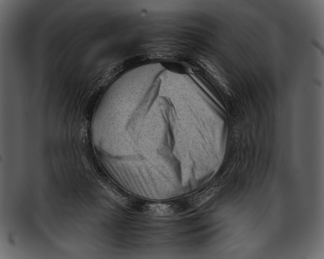 X0000096940265200802291040