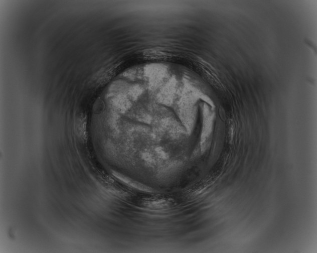 X0000096940267200802291040