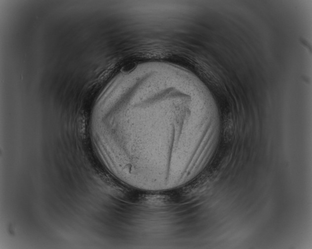 X0000096940268200802291040