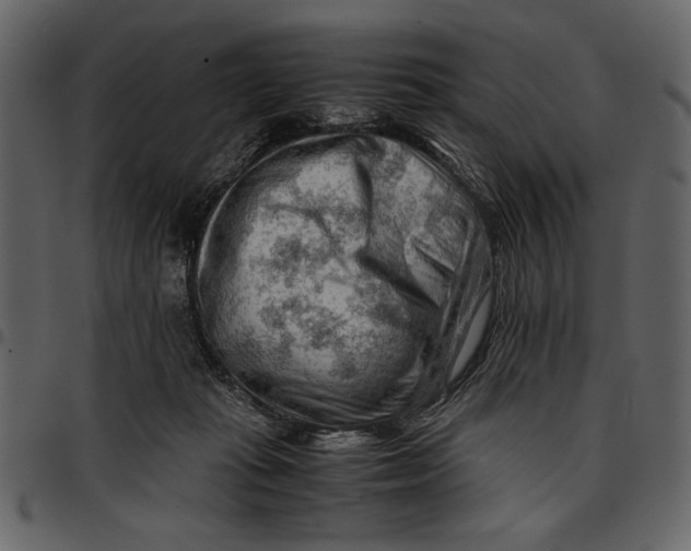 X0000096940269200802291040