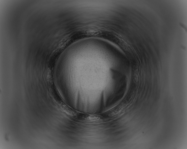 X0000096940270200802291040