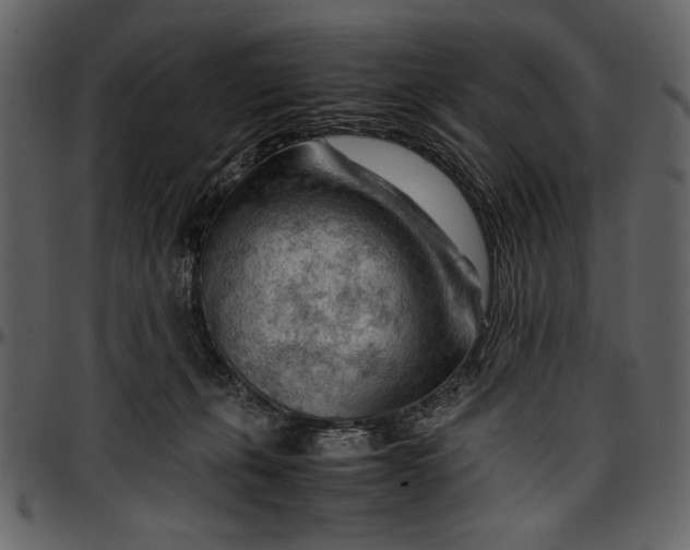 X0000096940271200802291040