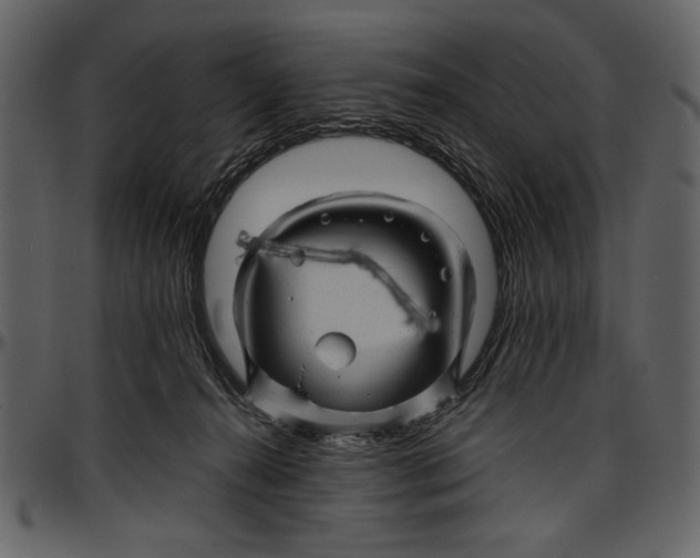 X0000096940272200802291040