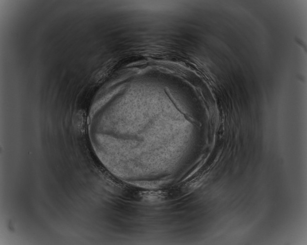 X0000096940273200802291040