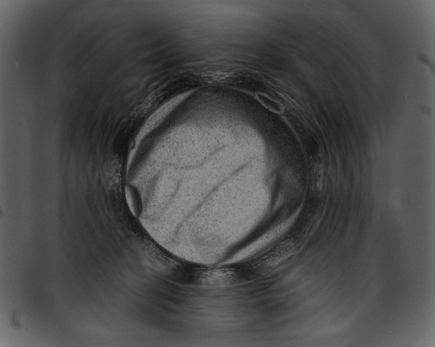 X0000096940274200802291040