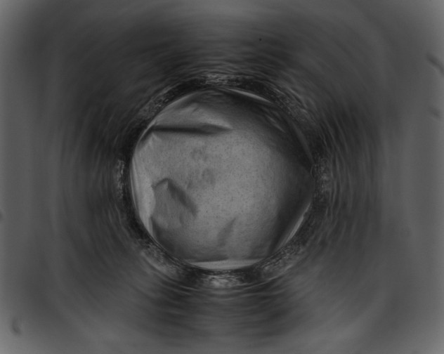 X0000096940275200802291040