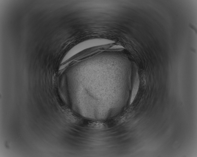 X0000096940276200802291040