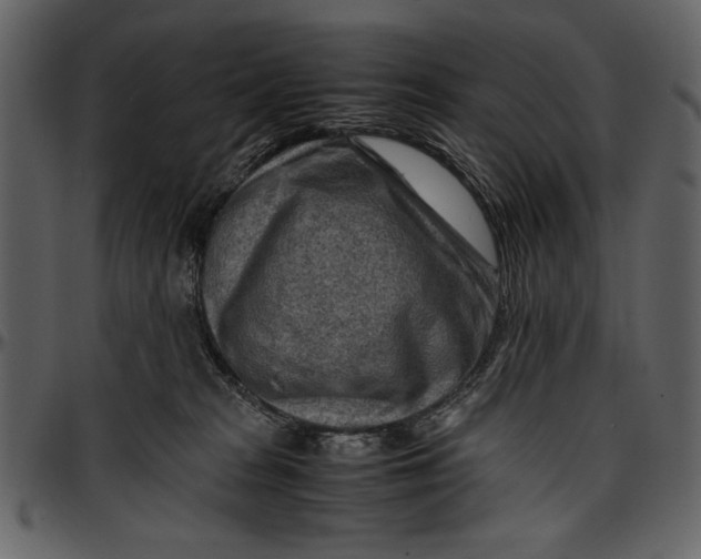 X0000096940277200802291040