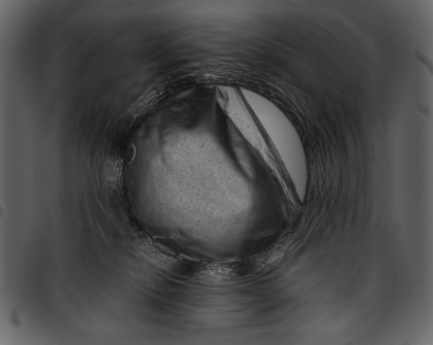 X0000096940278200802291040