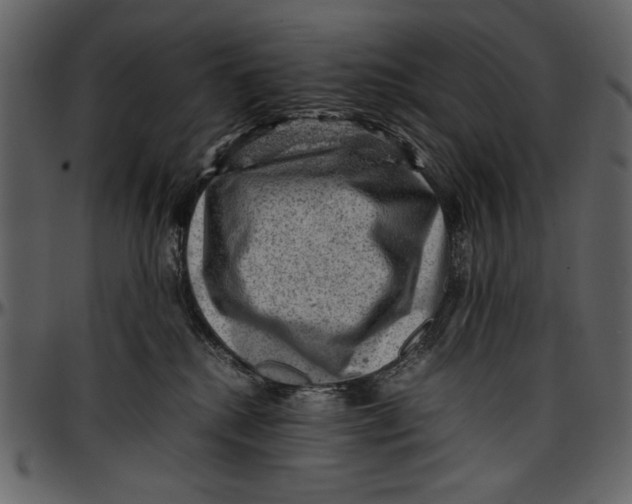 X0000096940280200802291040